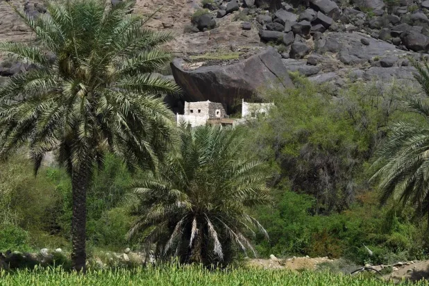 شكلت القرى التراثية مرتكزاً سياحياً في عسير التي تحتضن أكثر من 4275 قرية تراثية (واس)