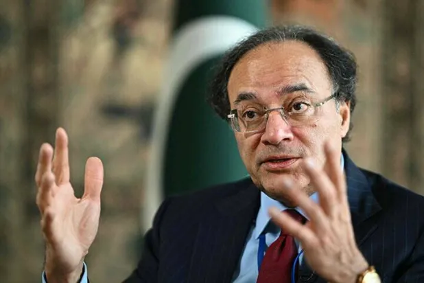 وزير المالية الباكستاني محمد أورنجزيب (أ.ف.ب)