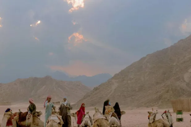 البداوة ليست جَدّاً لأحد