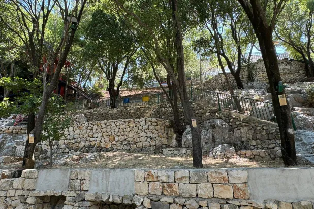 نساء مكرَّمات على جذوع الشجر (الشرق الأوسط)