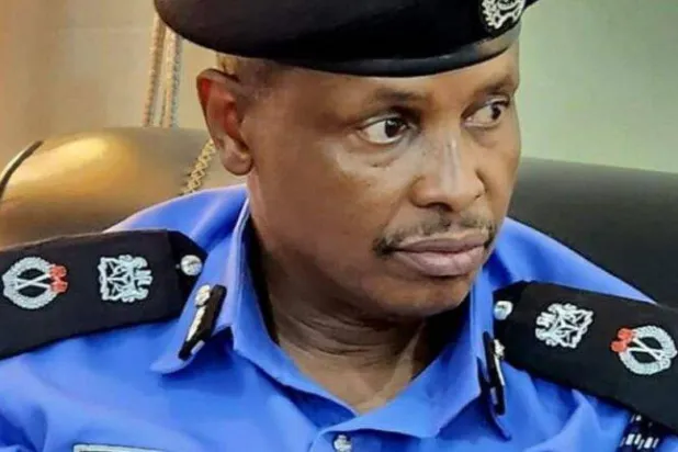 المتحدث باسم قيادة الشرطة النيجيرية في ولاية يوبي (صحافة محلية)