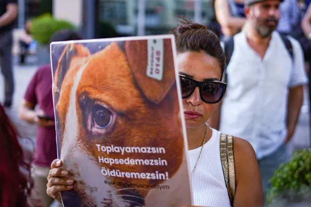 خلال مظاهرة ضد قانون يهدف إلى إبعاد ملايين من الكلاب الضالة بالشوارع في تركيا... الصورة في العاصمة التركية أنقرة 29 يوليو 2024 (د.ب.أ)