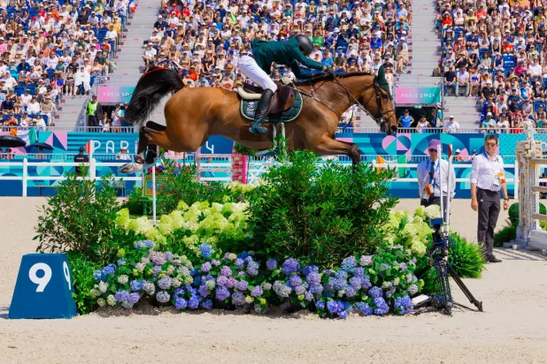 المنتخب السعودي ودع منافسات قفز الحواجز للفرق المختلطة (الأولمبية السعودية)