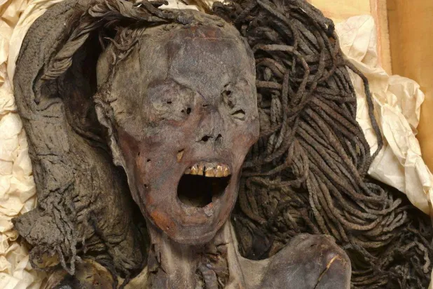 وجه «مومياء المرأة الصارخة» التي اكتشفت عام 1935 في الدير البحري بالقرب من الأقصر ويرجع تاريخها لنحو 1500 قبل الميلاد خلال فترة المملكة الحديثة في مصر القديمة تظهر بالمتحف المصري في القاهرة - 18 يناير 2023 (رويترز)