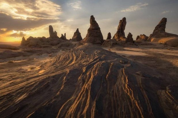 The King Salman Bin Abdulaziz Royal Natural Reserve (SPA).
