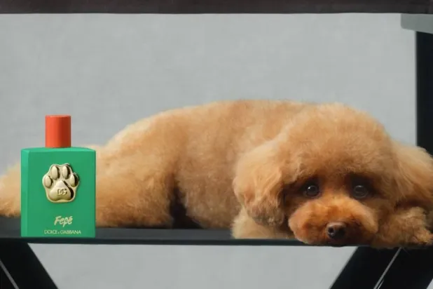 عطر خاص بالكلاب يحمل اسم «فافيه» (دولتشي آند غابانا)
