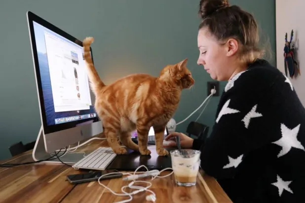 التهوية الجيدة للمنزل تعزز الإنتاجية وتقلل الشعور بالإرهاق (رويترز)