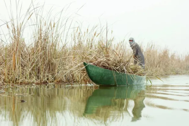 أرشيفية لمزارع عراقي على مركبه في ذي قار بالأهوار (أ.ف.ب)