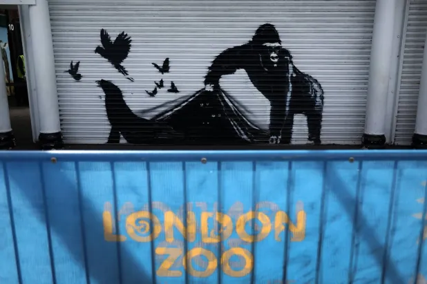 جدارية جديدة لبانكسي تمثل غوريلا يسمح لعدد من الطيور بالهرب أبدعها يوم 13 أغسطس 2024 (إ.ب.أ)