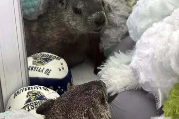 «الكولونيل كاسترد» بين الألعاب (أ.ب)