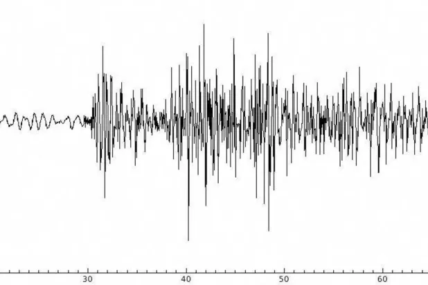 رسم بياني لزلزال (رويترز - أرشيفية)