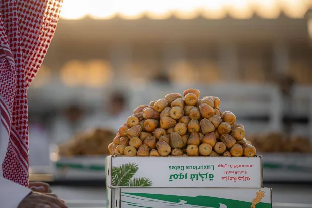 یکی از انواع خرماهایی که در منطقه القصیم تولید می‌شود (الشرق الأوسط)