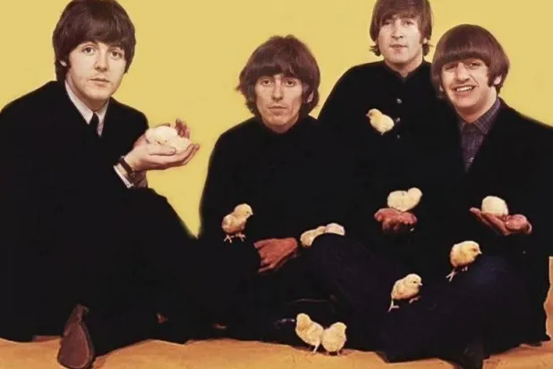 أغنيات «البيتلز» ضيفة مهرجان القلعة (وزارة الثقافة المصرية)