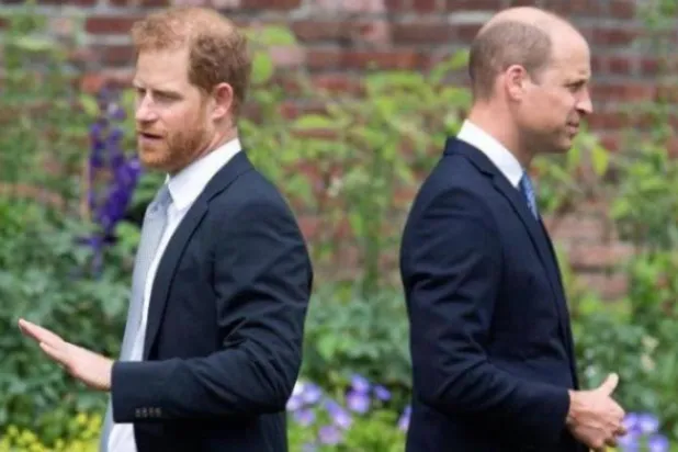 الأمير البريطاني ويليام وشقيقه هاري (أ.ف.ب)