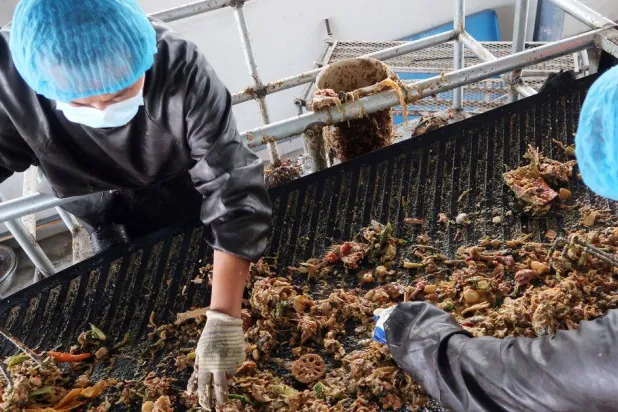 الاستفادة من نفايات الطعام تُقلل من الانبعاثات الضارة (رويترز)