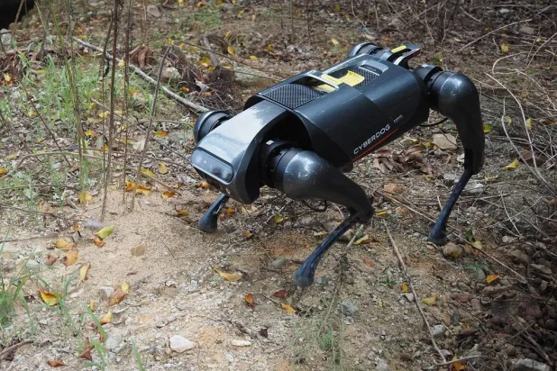 الروبوت يوفر طريقة آلية للكشف عن أعشاش النمل  (أكاديمية قوانغدونغ للعلوم في الصين)