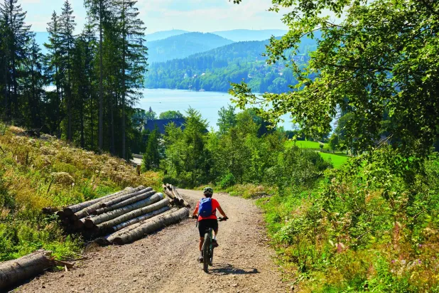 الغابة السوداء مليئة بالنشاطات الرياضية في الهواء الطلق (شاترستوك)