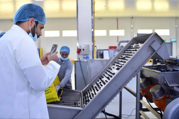 أحد المصانع المنتِجة في المدينة المنورة (واس)