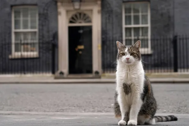 «لاري» آسر القلوب (أ.ب)