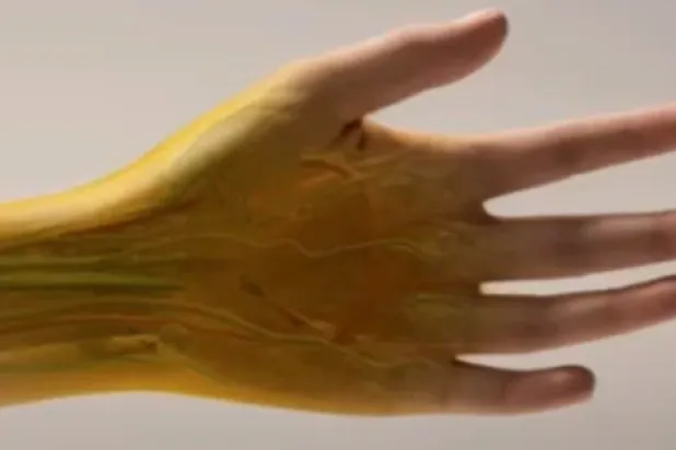 علماء ينجحون في جعل جلد الفئران شفافاً باستخدام صبغة «تارترازين»