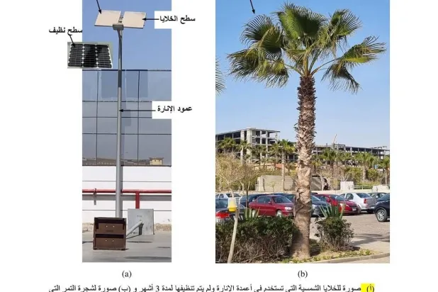 الآلية الجديدة مستوحاة من الاهتزازات الطبيعية لأغصان الأشجار (الشرق الأوسط)