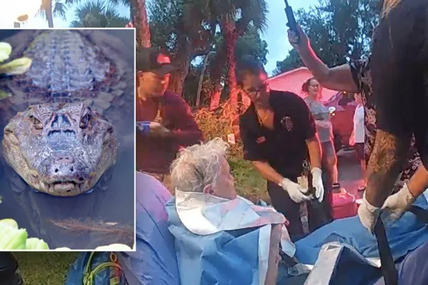 معركة الدفاع عن الحياة (مكتب مأمور مقاطعة «لي»)