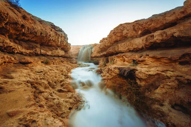 محمية وادي دجلة (صورة لمحمد سلامة)