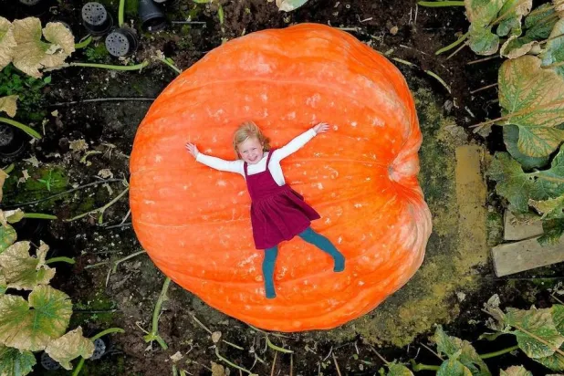 تظهر حفيدة إيان قزمة أمام اليقطينة العملاقة (Solent News & Photo Agency)