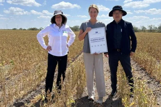 الباحثون ينفّذون 5 ممارسات زراعية ذكية مناخياً لزراعة الصويا (جامعة تكساس)