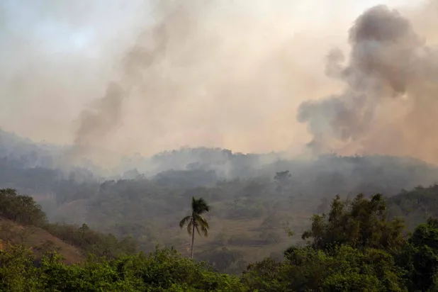 دخان الحريق يتصاعد في تلال تينغوا (أ.ف.ب)