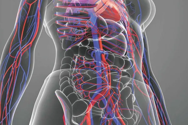 فكّ ألغاز ضعف الدورة الدموية