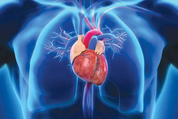 7 أشياء غير متوقعة يمكن أن تؤثر على صحة شرايين قلبك