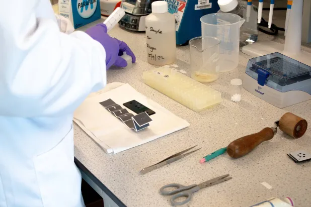 أجهزة الاستشعار الورقية الجديدة سريعة وسهلة الاستخدام (جامعة كرانفيلد)