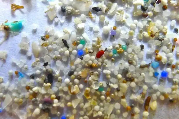 مواد بلاستيكية دقيقة (أرشيفية - د.ب.أ)