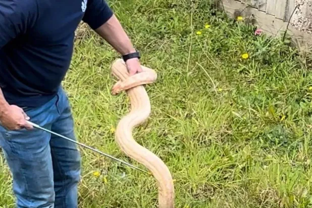 للصدمة أشكال عدّة (مواقع التواصل)