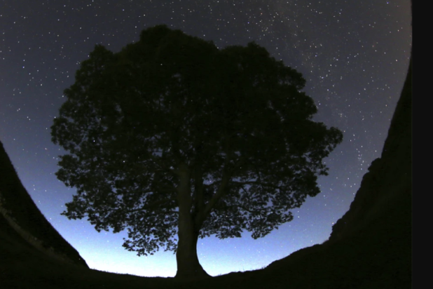 FILE - A general view of the stars above Sycamore Gap prior to the Perseid Meteor Shower above Hadrian’s Wall near Bardon Mill, England, Wednesday, Aug. 12, 2015. (AP Photo/Scott Heppell, File)

