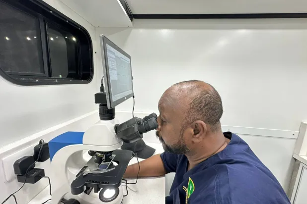 محمد حسن أكد أن السعودية لديها سلالة «نادرة» للنحل لم يشاهدها في أي منطقة أخرى (الشرق الأوسط)