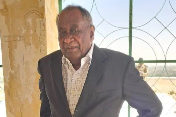 محمد المكي أحد مؤسسي «مدرسة الغابة والصحراء» (الشرق الأوسط)