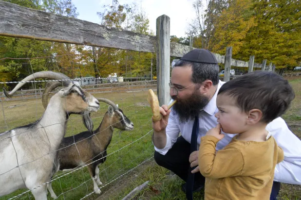 حاخام ينفخ في «الشوفار» بجوار بعض الماعز مع ابنته الصغرى خلال استعدادهما لعيد رأس السنة العبرية (أ.ب)