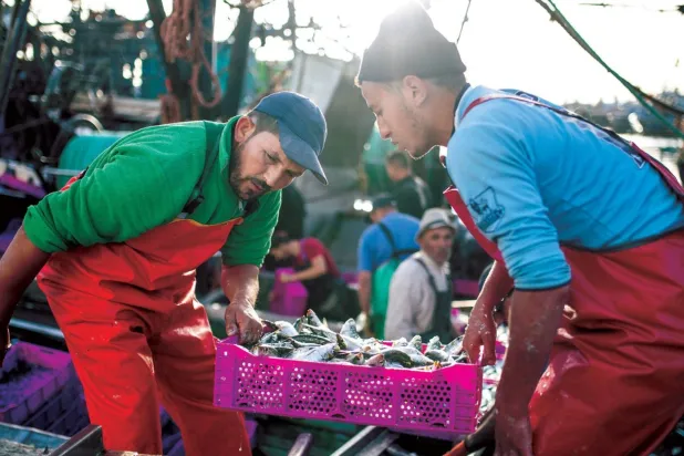 Avrupa Birliği ve Fas arasında, Fas Sahra'sından gelen ürünleri de içeren balıkçılıkla ilgili çeşitli anlaşmalar imzalandı. (AP)