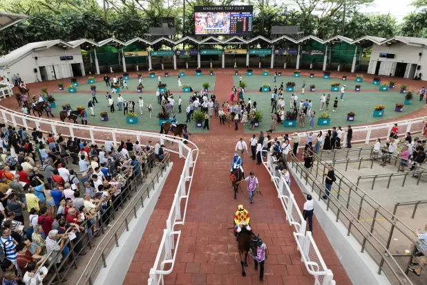 استضاف نادي سنغافورة لسباقات الخيول آخر سباق بسبب قرار حكومي (إ.ب.أ)