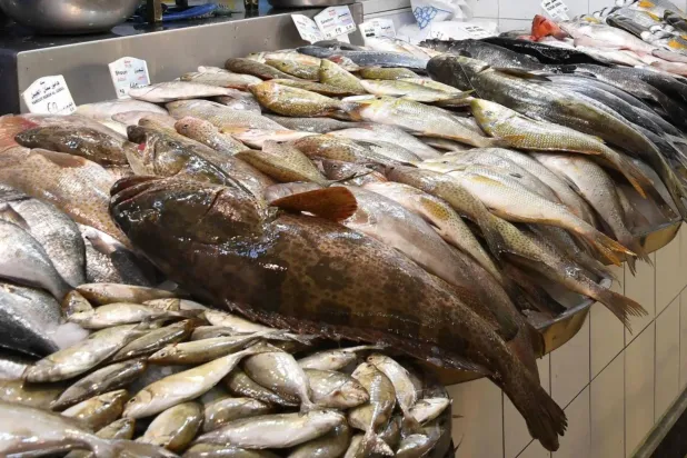 مجموعة من الأسماك بعد الصيد في إحدى الأسواق الوطنية (واس)