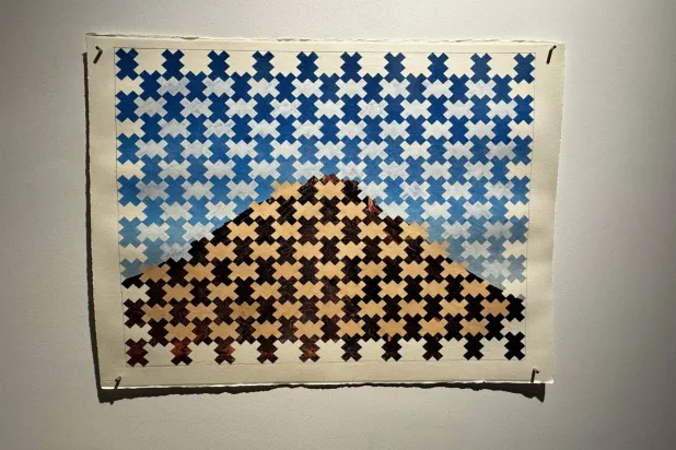 المفارقة بين الظاهر والمخفي في عمل لدانية الصالح من المعرض (الفنانة)