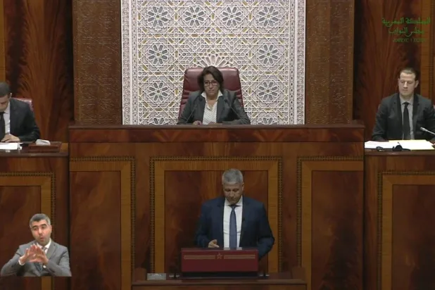 وزير الفلاحة محمد صديقي (الشرق الأوسط)