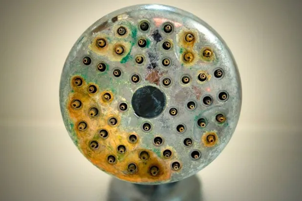 رأس الدش يحتوي على تشكيلة متنوعة للغاية من الفيروسات (جامعة نورث وسترن)