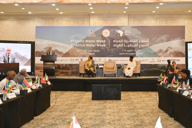 وزير الري المصري خلال اجتماع «اللجنة الاستشارية لمجلس وزراء المياه الأفارقة» في القاهرة  (الري المصرية)