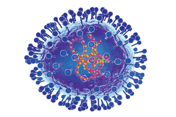 الفيروس التنفسي المخلوي