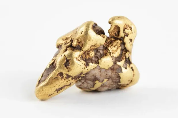 «الغريب المرحَّب به» (مواقع التواصل)