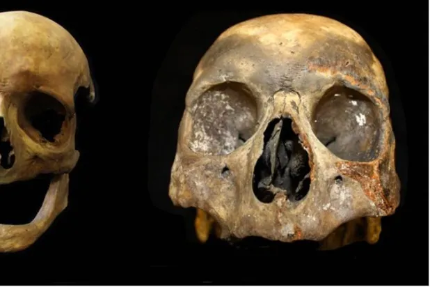 يتيح اكتشاف التغيرات في بنية العظام بين بقايا مستخدمي التبغ لعلماء الآثار تصنيف بقايا دون أسنان لأول مرة (جامعة ليستر)