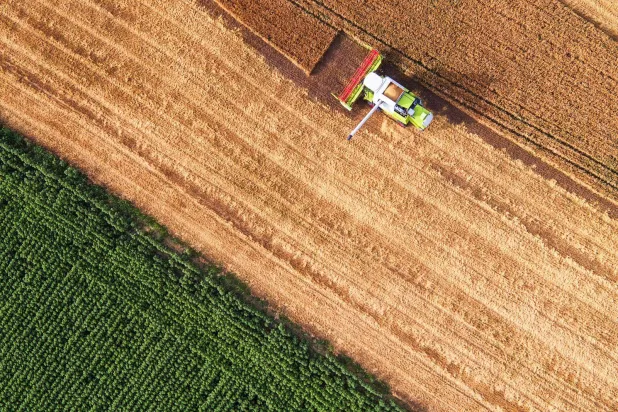 مزرعة ضمن مشاريع إحدى شركات صندوق الاستثمارات العامة (الشرق الأوسط)